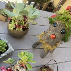 Reindeer 