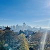 Wiba Seattle