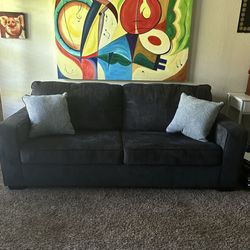 Love Seat Sofa Bed