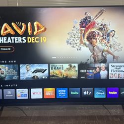Vizio 55” TV