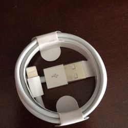 iPhone Charger