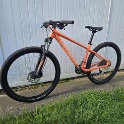 Specialized Rockhopper Mountain Bike 