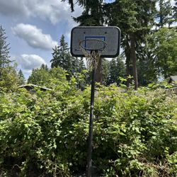 FREE Basketball Hoop