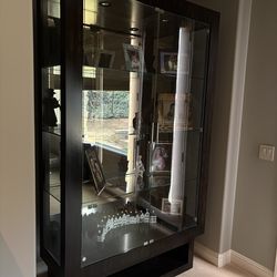 Contemporary curio/Display case