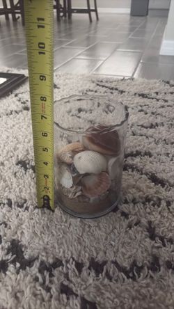 Shell Vases