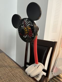 Mickey Fan