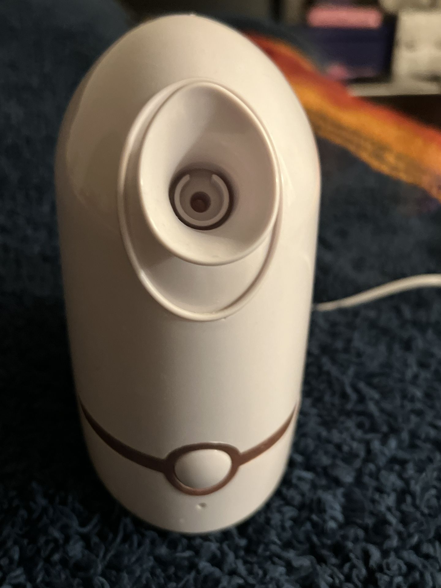 Facial Steamer