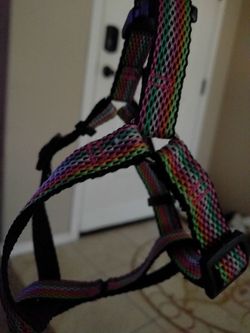 Puppy harness