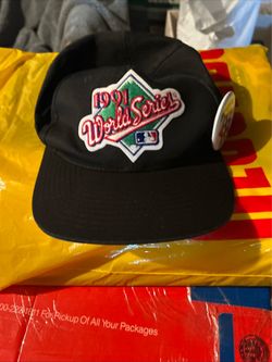 Vintage 1991 Mn Twins World Series hat.  SnapBack. EXCELLENT CONDITION!!!!