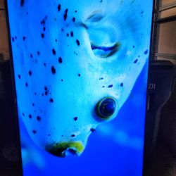 Hisense 75  Inchs "Clase LED 4K LED Inteligente Androide UHD H65 Serie 75H6570G

