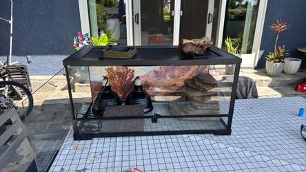 40 gallon glass reptile aquarium