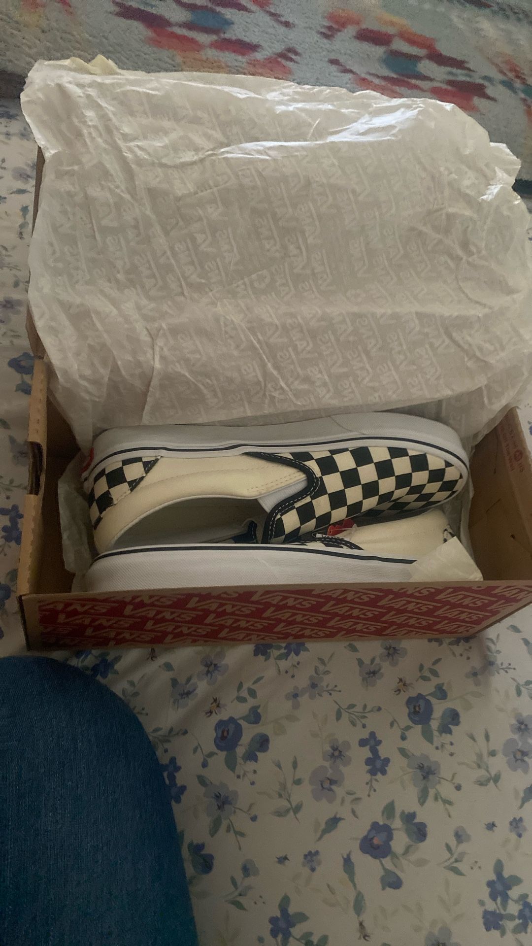Classic Slip-On Vans