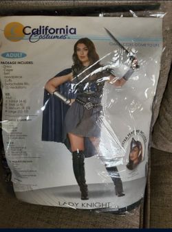 Womens Knight Costume