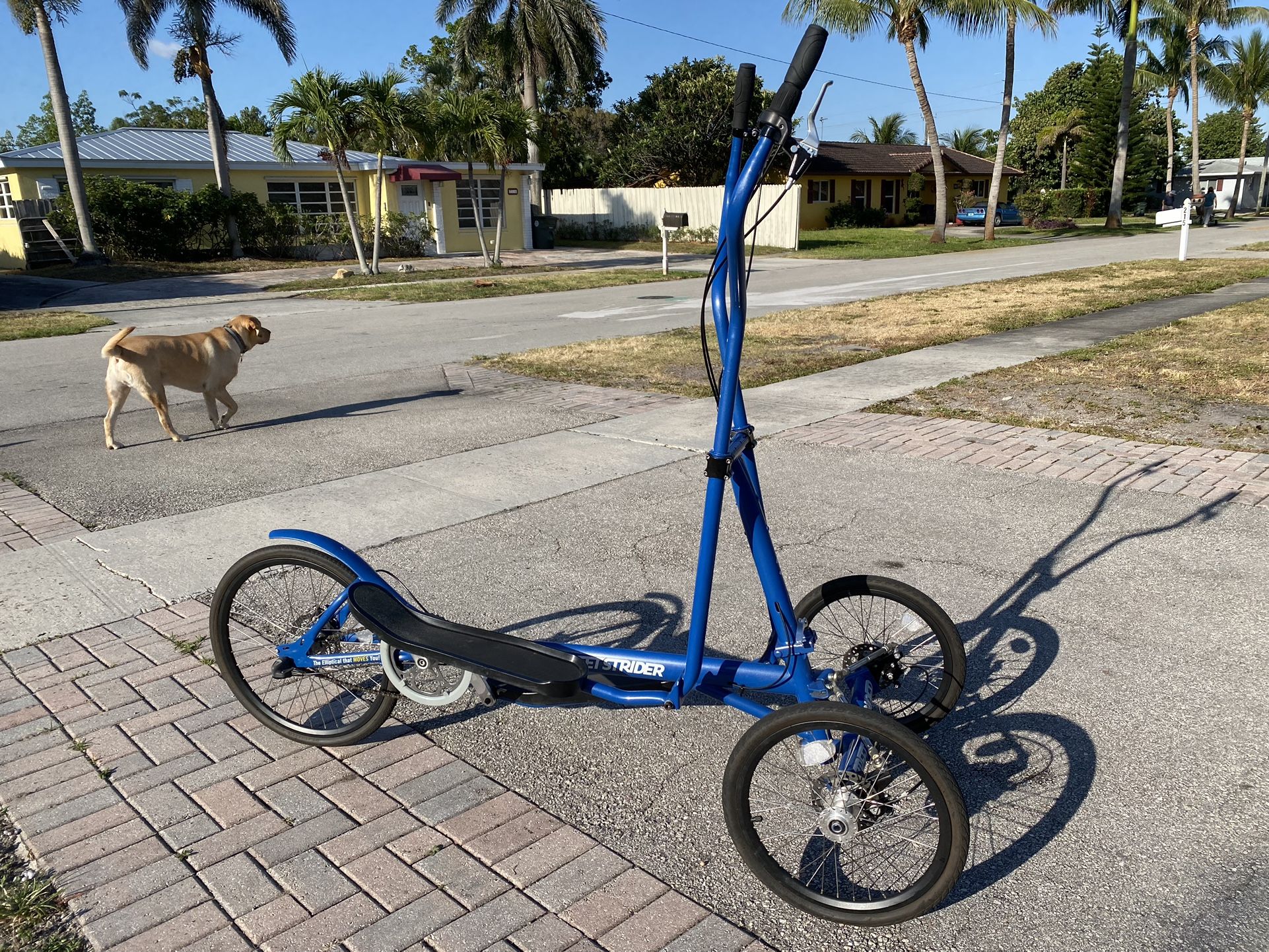 Street Strider 3i Elliptical Bicycle