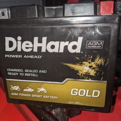 Die Hard Recreational Battery