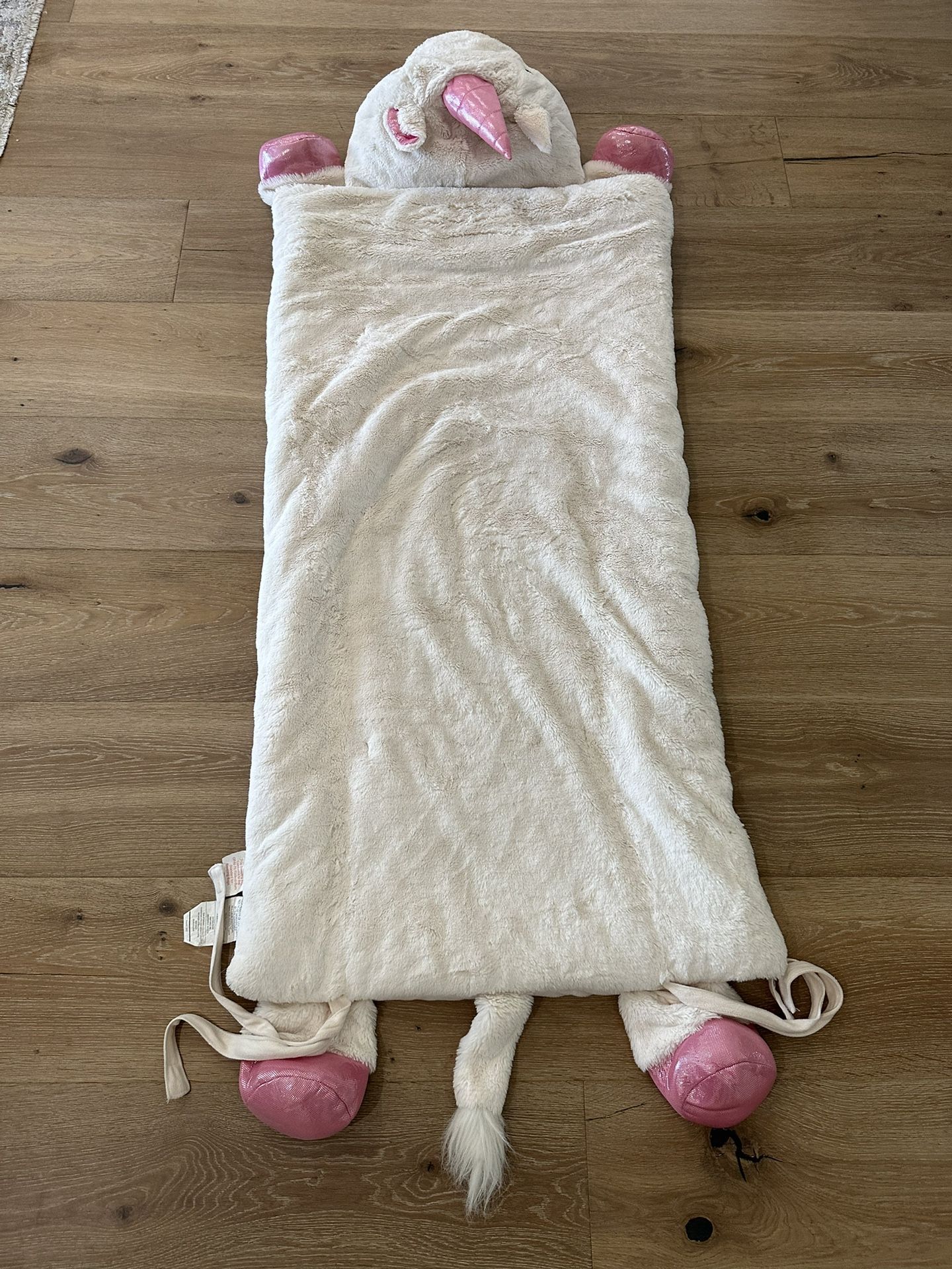 Kids Sleeping Bag