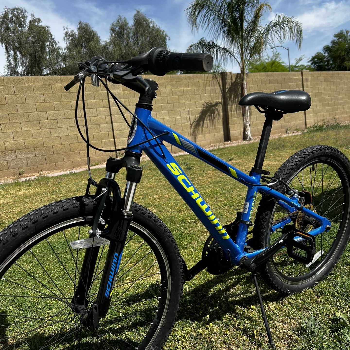 Schwinn outlet thrasher 24
