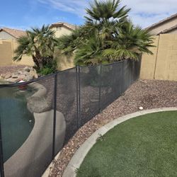 Pool Fence 