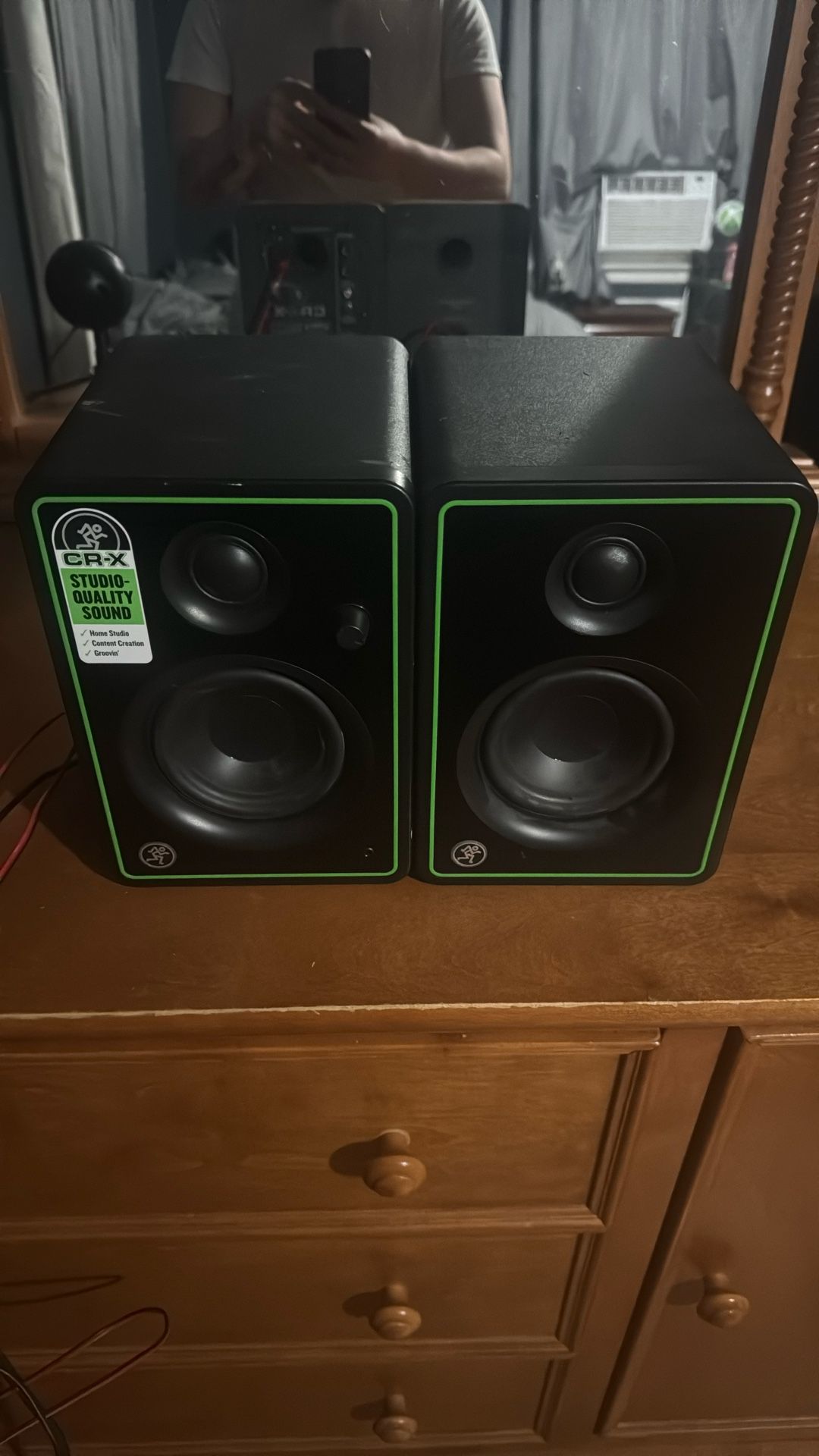 Speakers & Microphone 