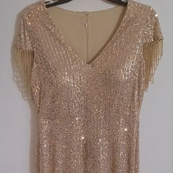 Beige Sequin Dress 