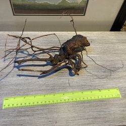 Aquarium/reptile Decor