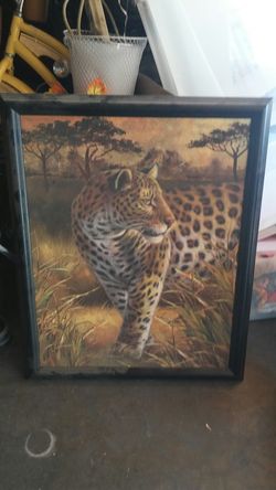 Leopard frame