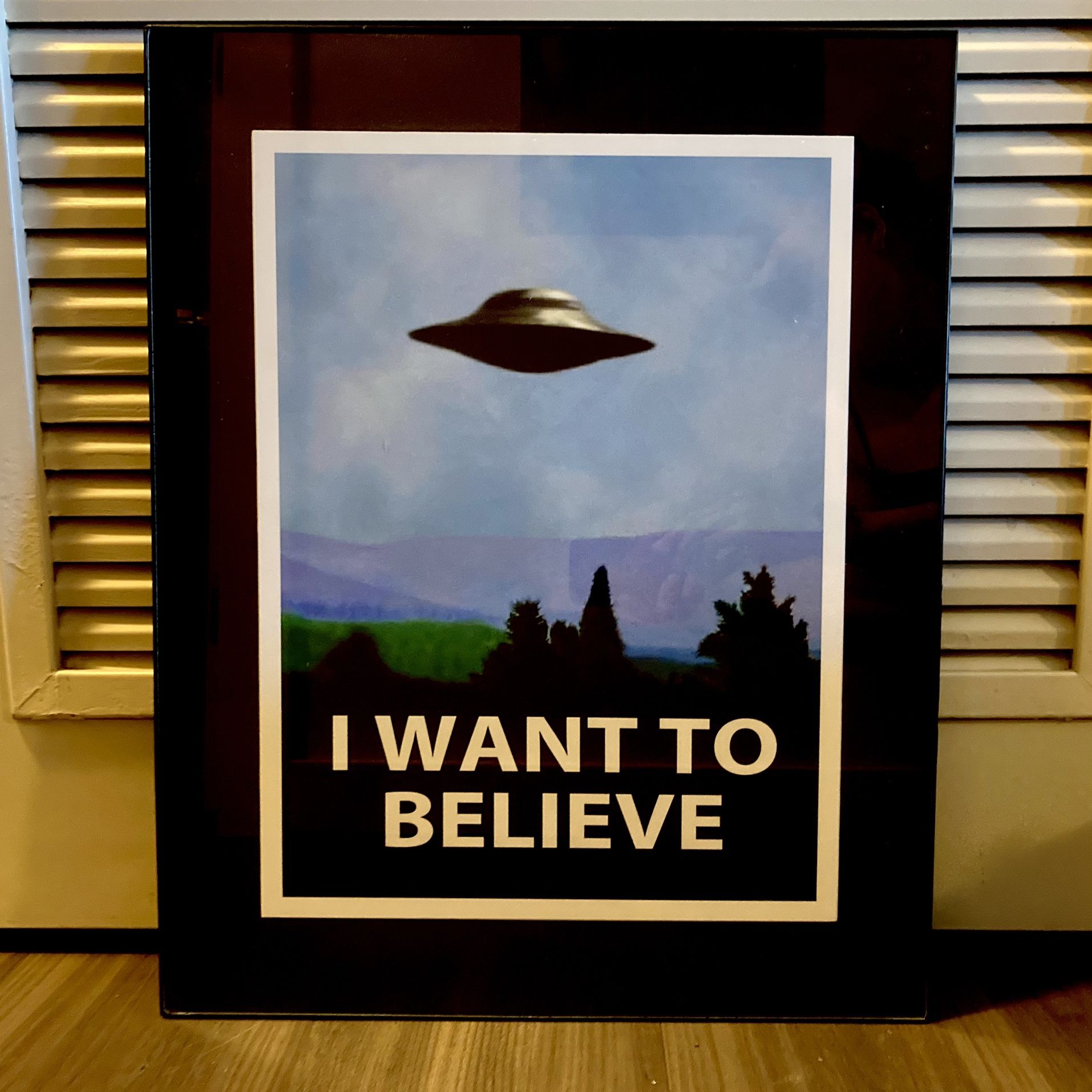 X Files, I Want To Believe, Vintage Print In Glass Frame