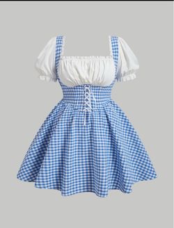 Adult costume 2/3xl