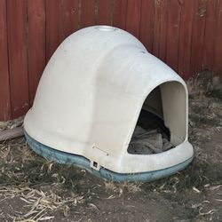 Dog House / Igloo. 
