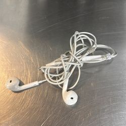 Apple earphones
