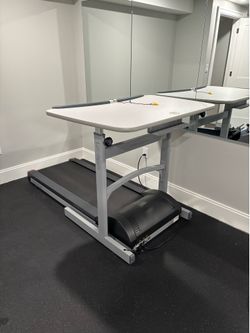 Lifespan Treadmill Desk