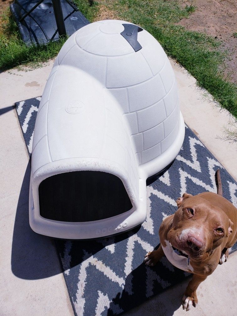 Dog House. XL "indigo Dogloo" igLoo. Gently used. $50. Buyer Picks up. East LV 89120