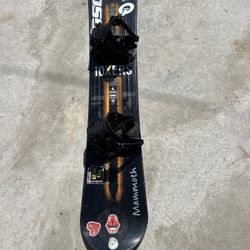 Lamar Snowboard 154cm
