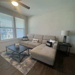 Living Room Couch ONLY 