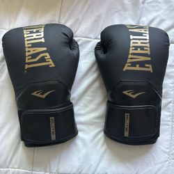 Everlast Boxing Gloves 