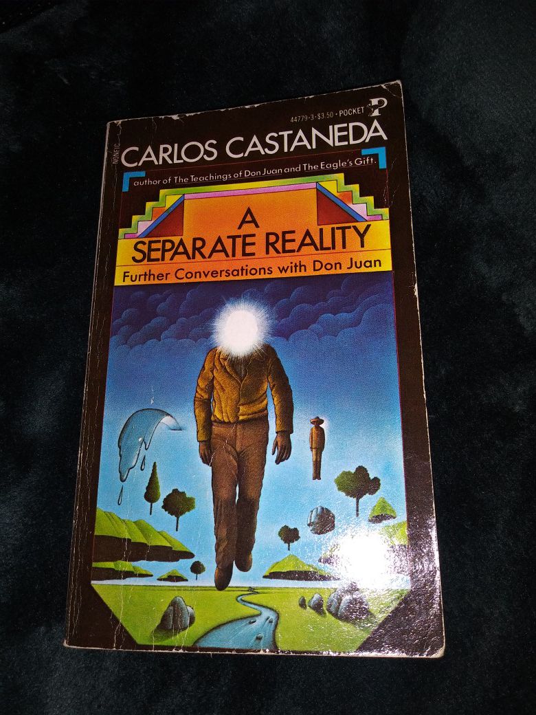 Vintage Carlos Castenada book- A Seperate Reality