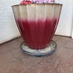Decorative Flower Pots With Wheeled Saucers
