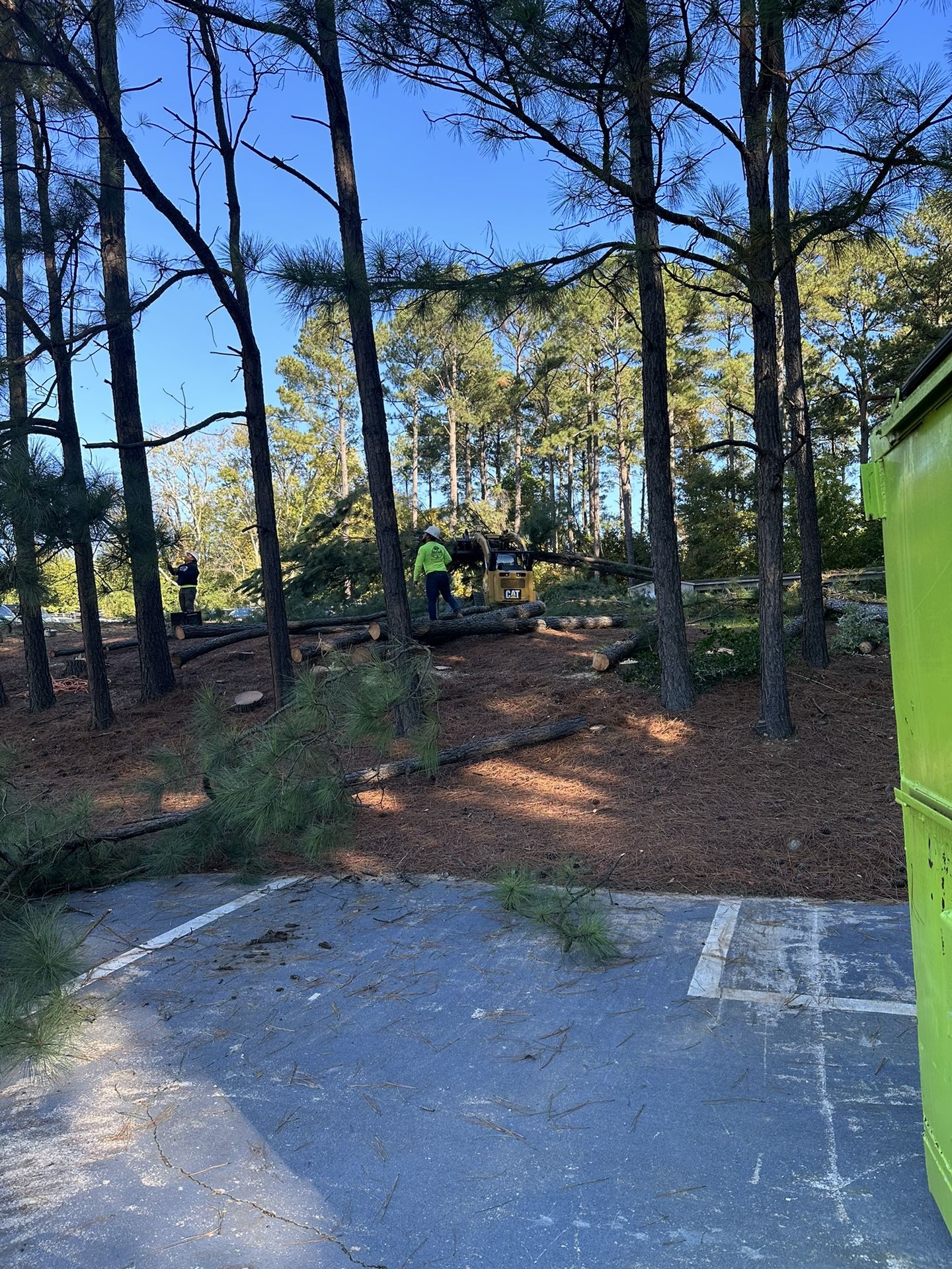 EMERGENCY TREE WORK