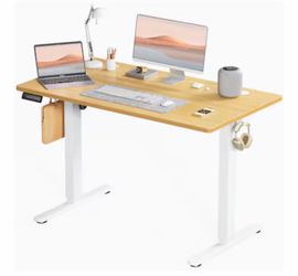 Electric Standing Desk (Oak) PRICE FIRM