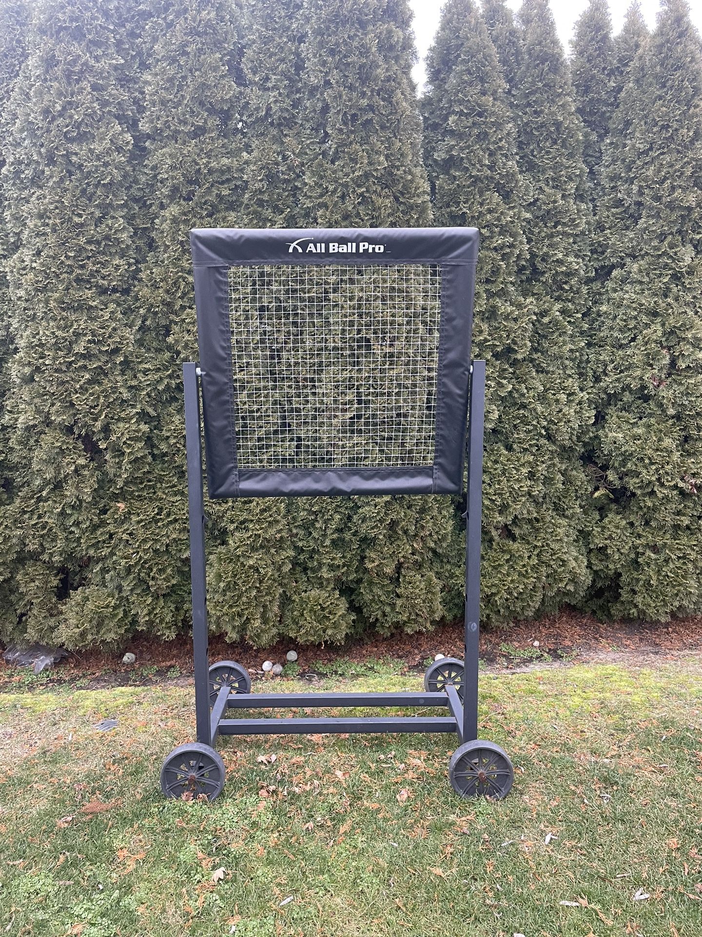 Lacrosse Rebounder / Pitchback for Sale in Holtsville, NY - OfferUp