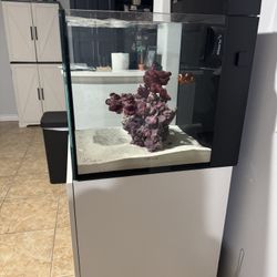 Red Sea 30 Gal Saltwater Aquarium