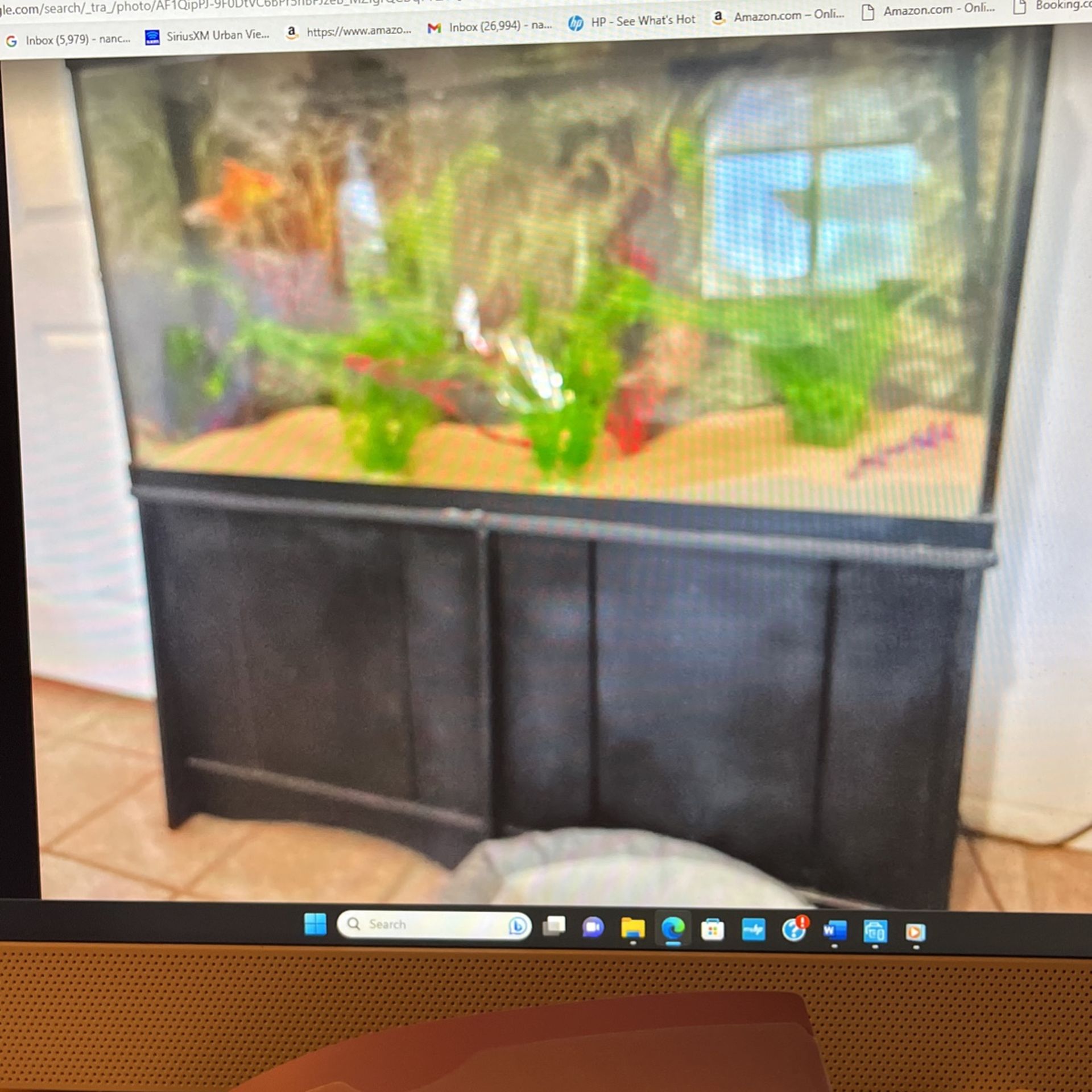 Large Fish Tank