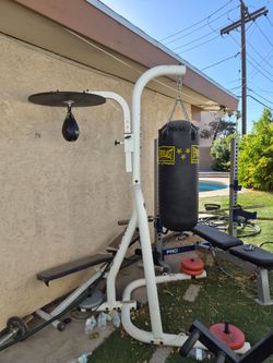 Everlast Heavy Bag & Speed Bag Stand w/ Bags Included - $150