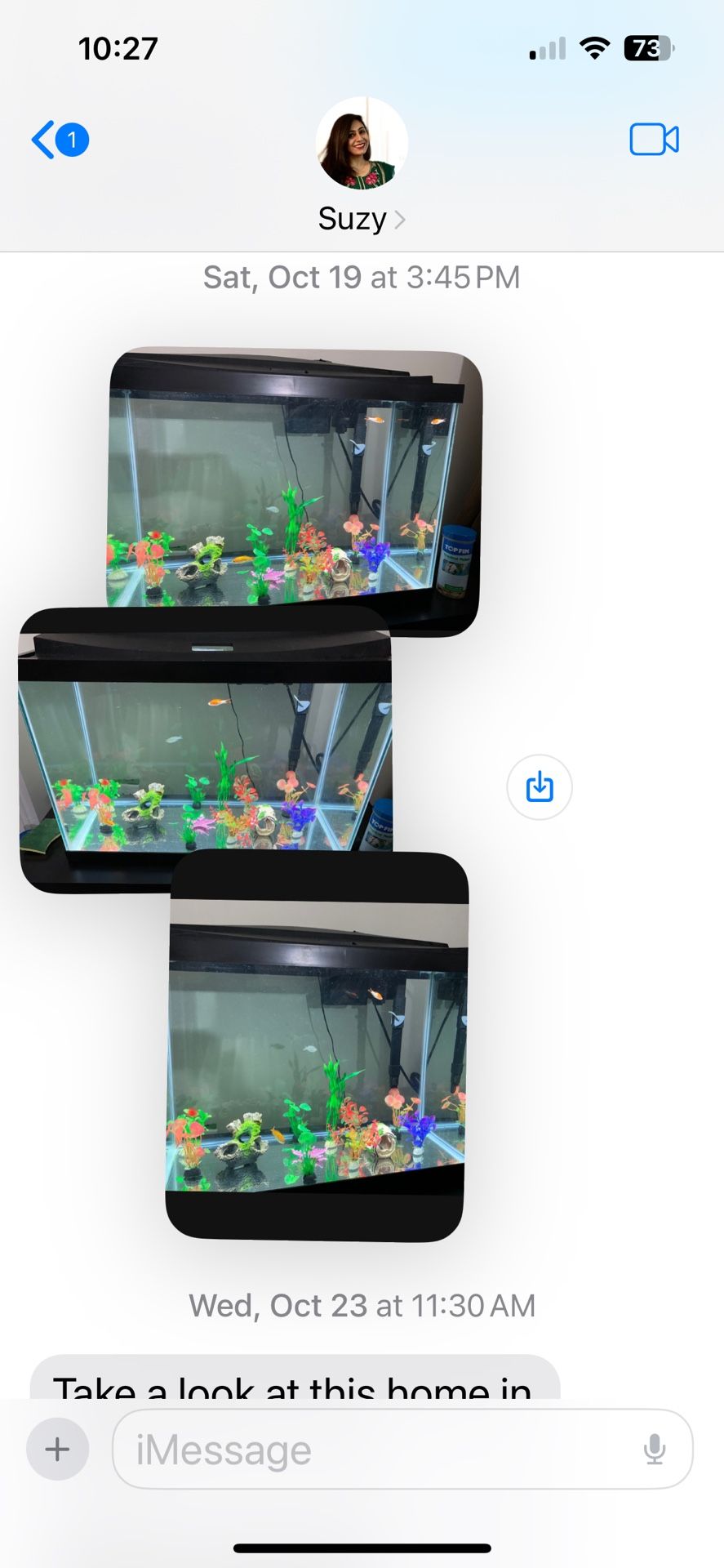 Fish Tank