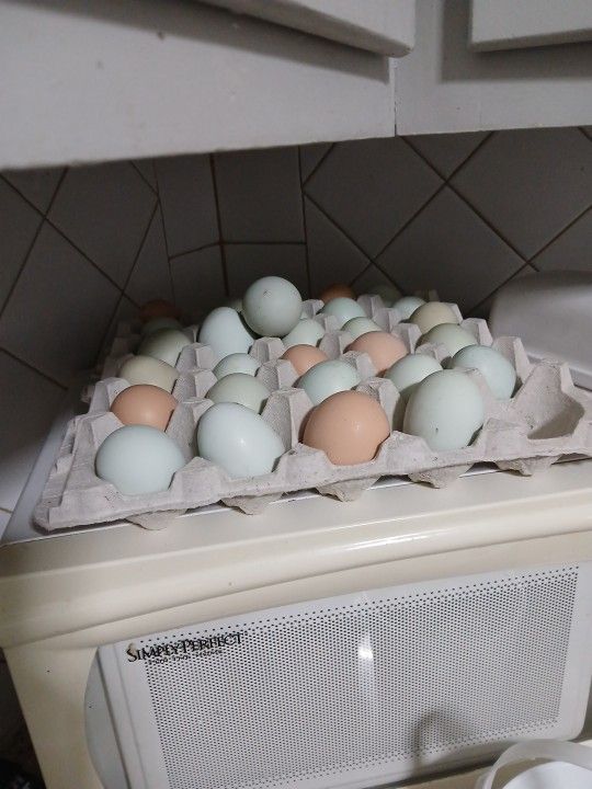 Farm Fresh Eggs
