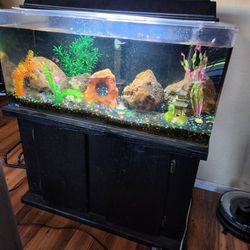 Aquarium 50-60 gallon