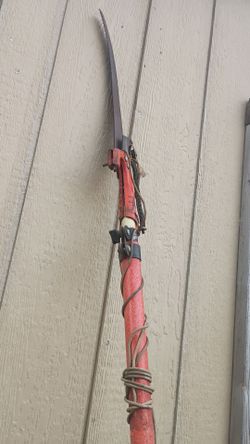 Corona Dual Compound-Action Tree Pruner