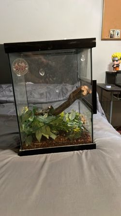 Reptile cage