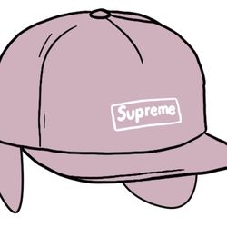 Supreme Windstopper Earflap 6-Panel / New In Packaging 