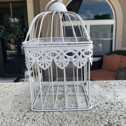 Bird Cage 